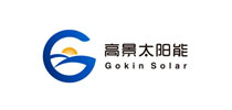 Gokin Surya